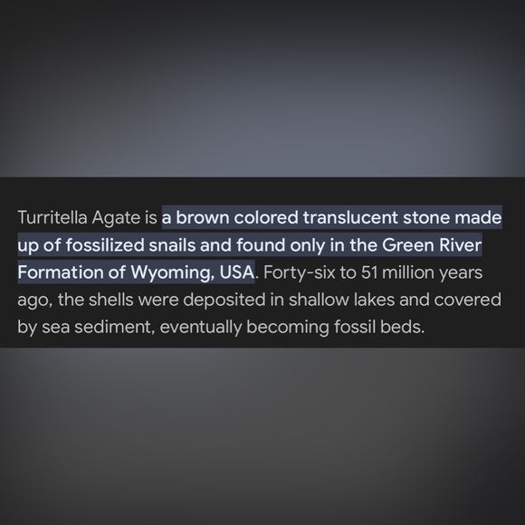 Turtella Fossil Agate - Picture 2 of 4